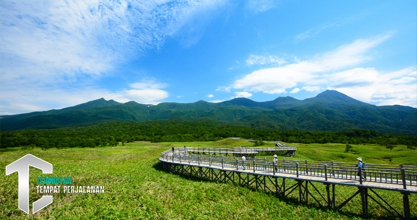 Pemandangan Jepang: Wisata Fotografi di Hokkaido