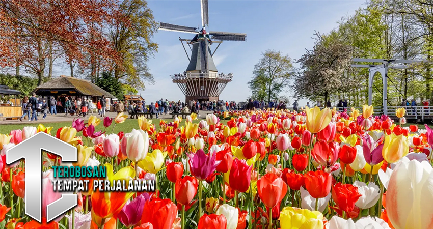 Belanda: Perjalanan Seni dan Budaya yang Menawan