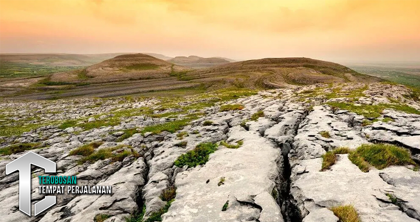 Wisata Edukasi: Mengenal Flora dan Fauna Irlandia